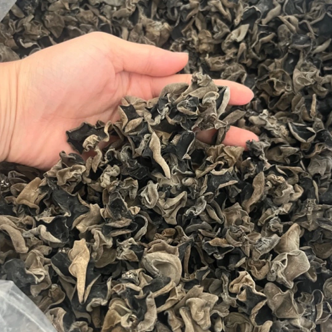 稀少好货、就40多斤、 卖完不加单、正宗头茬长白山黑木耳