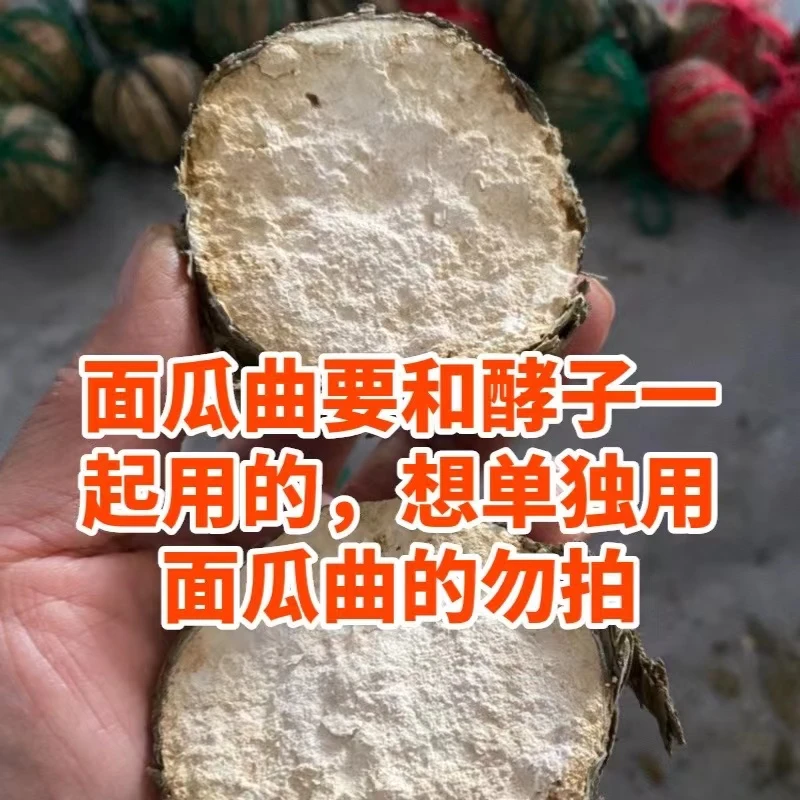 面瓜曲【天然酵母】纯手工制作发面曲头老面酵子曲