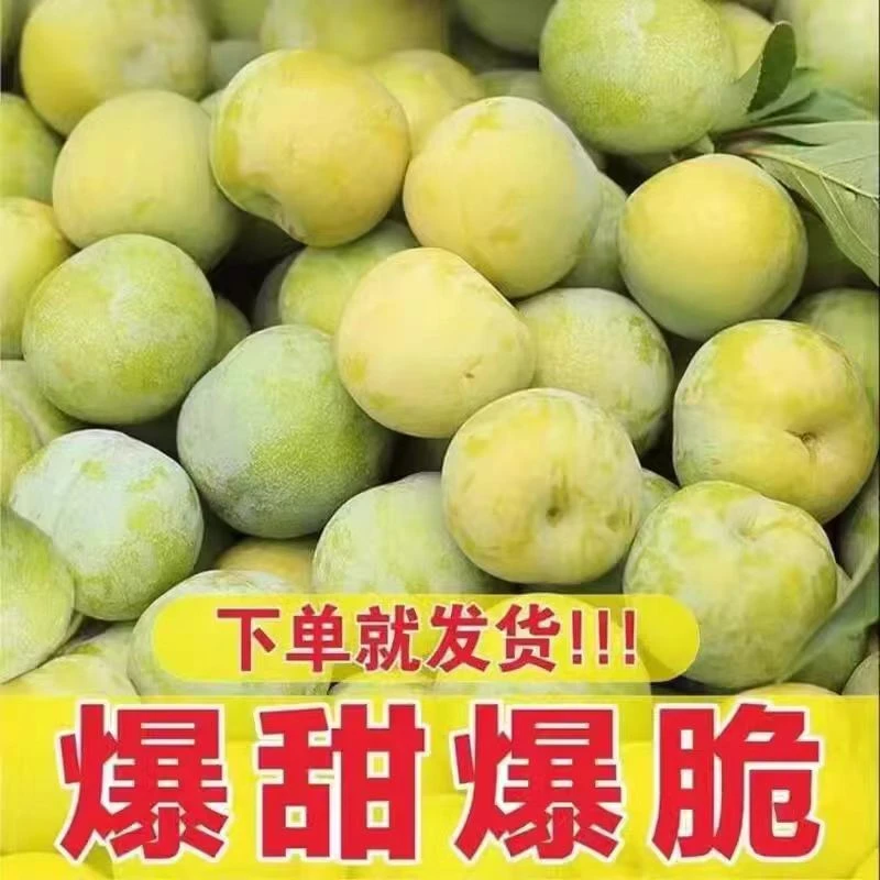 重庆土李子当天新鲜脱骨清脆李应季孕妇水果果园直摘现货包邮