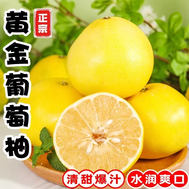福建黄金（青黄皮）葡萄柚新鲜香甜多汁微酸爆汁水果好吃4.5斤榨汁