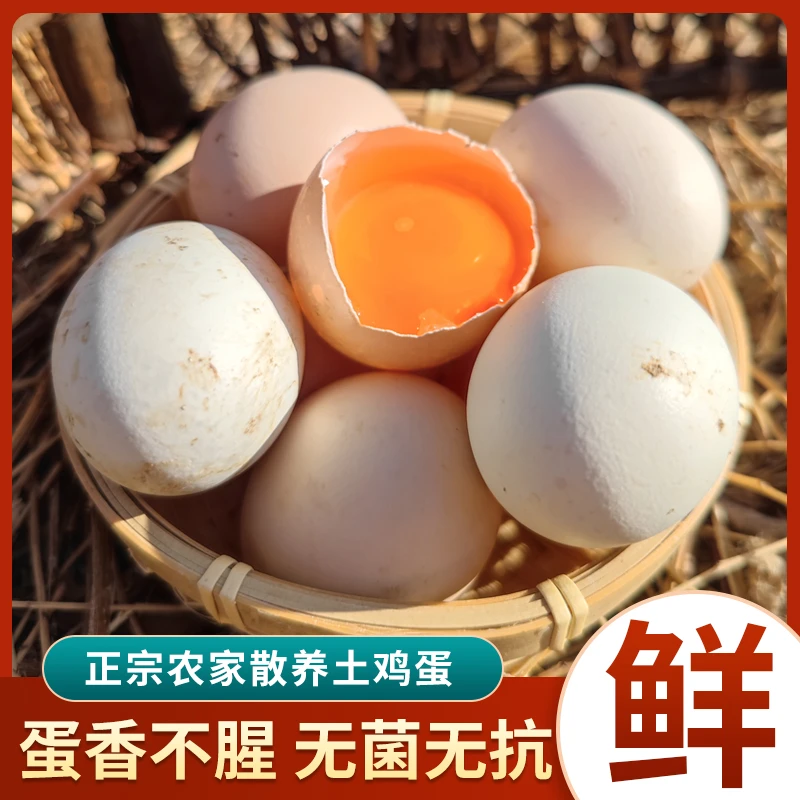 正宗散养土鸡蛋（不土包赔 ）农村土鸡蛋营养农家天然农场乡下好吃