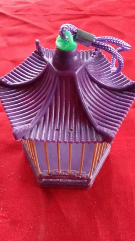 蝈蝈笼子六角龙子