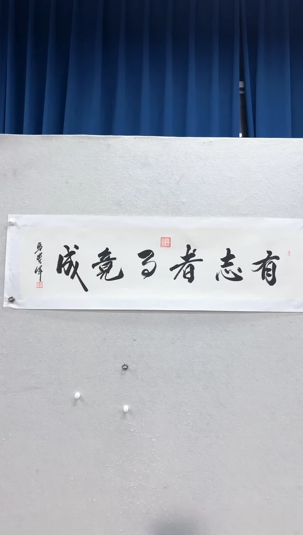 【闪购商品】书法马贵军有志