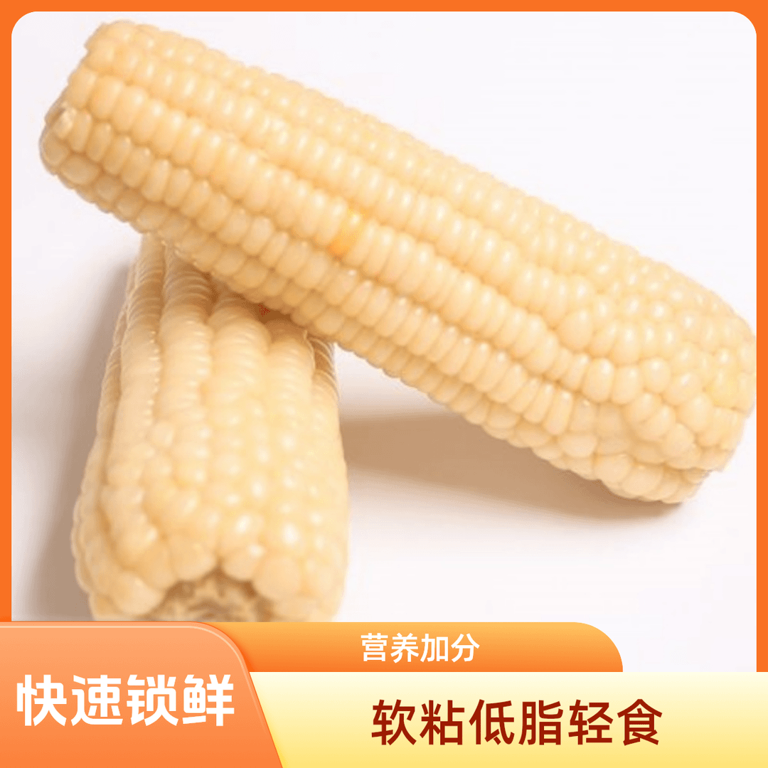 整箱6斤半东北白糯玉米蒸煮软粘10支