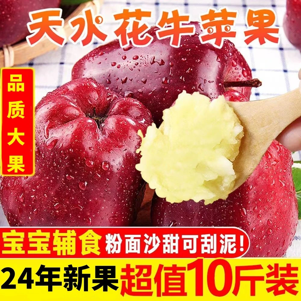 【新果现发】甘肃天水花牛苹果原产地可脆粉一果两吃可刮泥新鲜水果