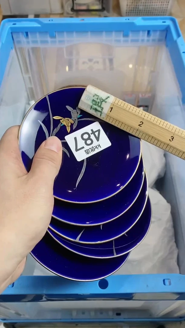 【闪购商品】瓷片487定向 周游世界