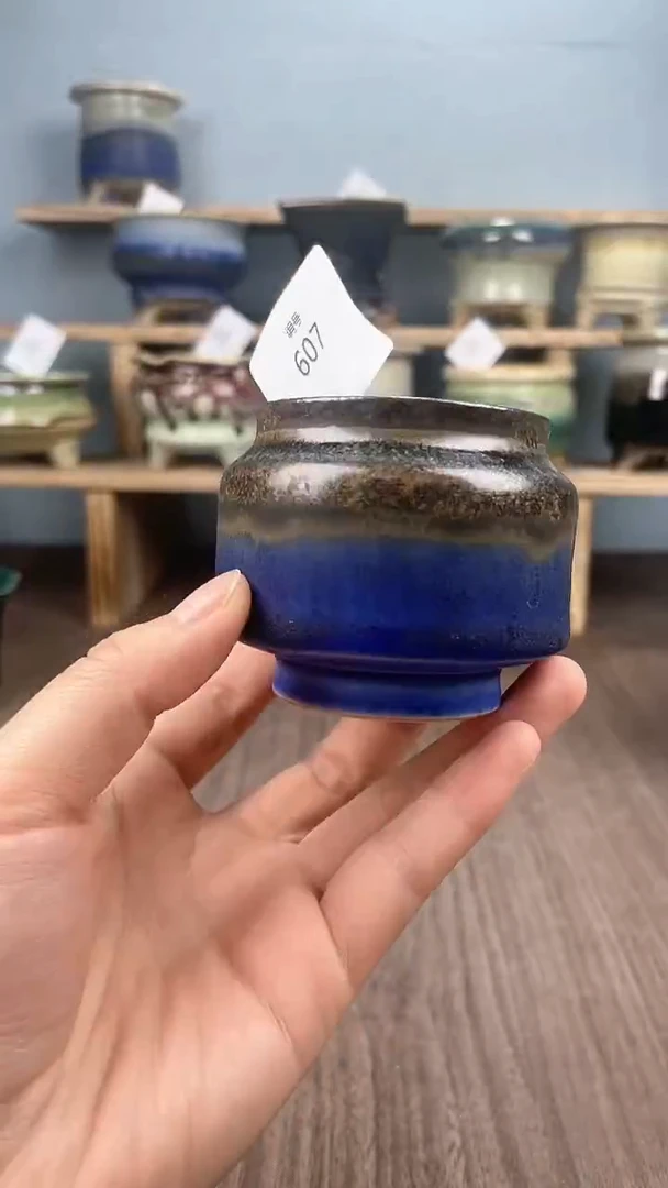 【闪购商品】陶瓷20CM以下607
