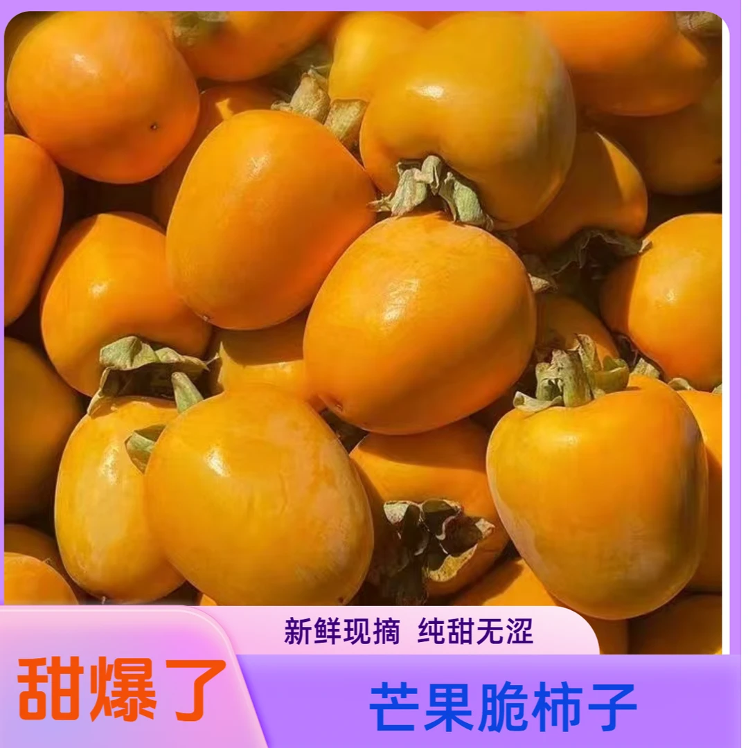 【现货】牛心柿子山东脆甜硬柿子芒果柿子2斤3斤4.5斤脆柿新鲜水果