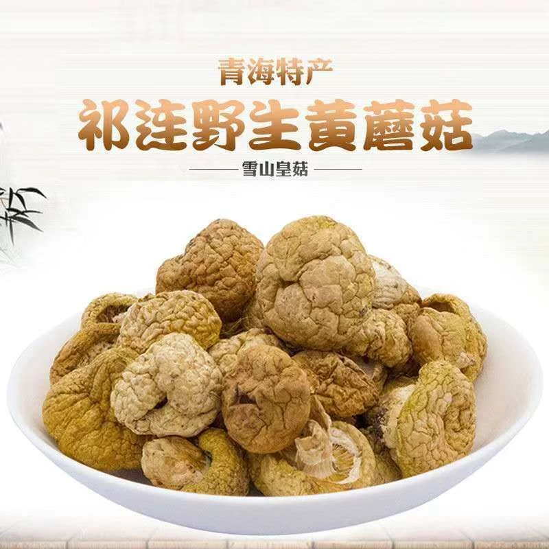 青藏高原祁连Y生（小中）干黄蘑菇炒菜·煲汤·炖汤·营养丰富·包邮