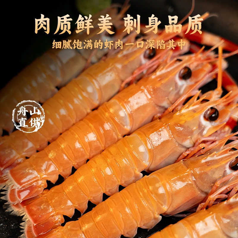 （大号刺身虾合集）国产刺身海鳌虾舟山海鳌虾新鲜鳌虾刺身鳌虾Z4
