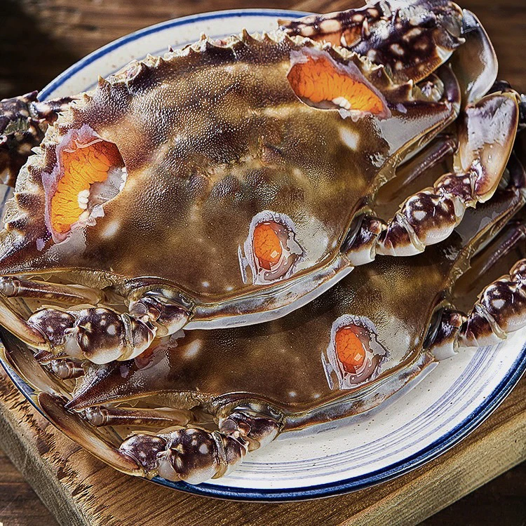 H舟山正宗飞机红膏呛蟹3两左右/只 精品梭子蟹生腌 咸蟹 开袋即食