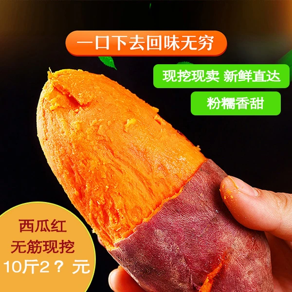红薯江西赣南西瓜红心薯糖心地瓜农家自种新鲜香薯蕃薯红薯