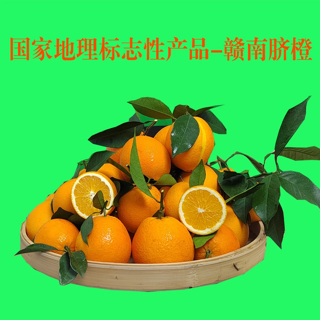 赣南脐橙正宗赣南脐橙5斤/10斤/20斤新鲜采摘时令水果产地直发