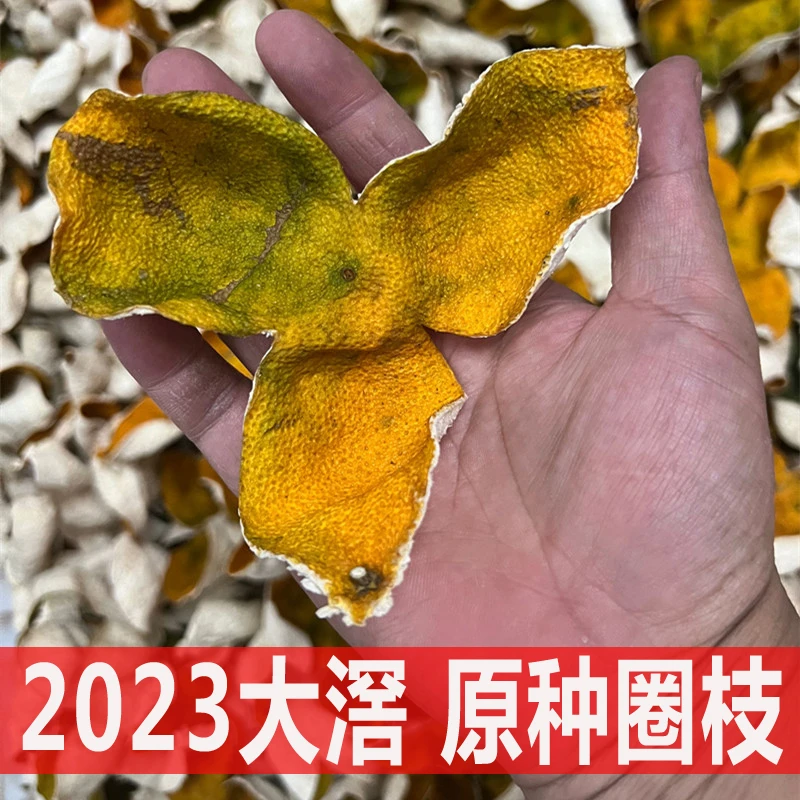 东甲大滘2023原种圈枝7年老树大红陈皮50克250克500克
