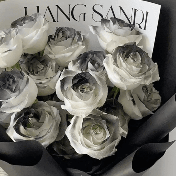 【黑骑士丨黑巴克喷色】A级玫瑰花水养鲜花云南昆明斗南基地直发