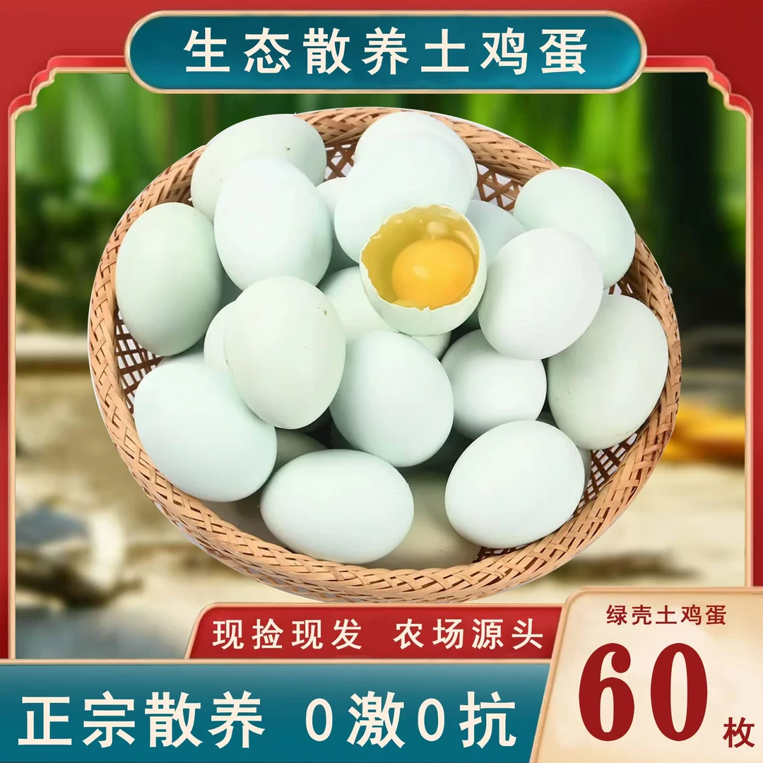 野坡地高山生态散养土鸡蛋新鲜营养绿壳乌鸡蛋60枚