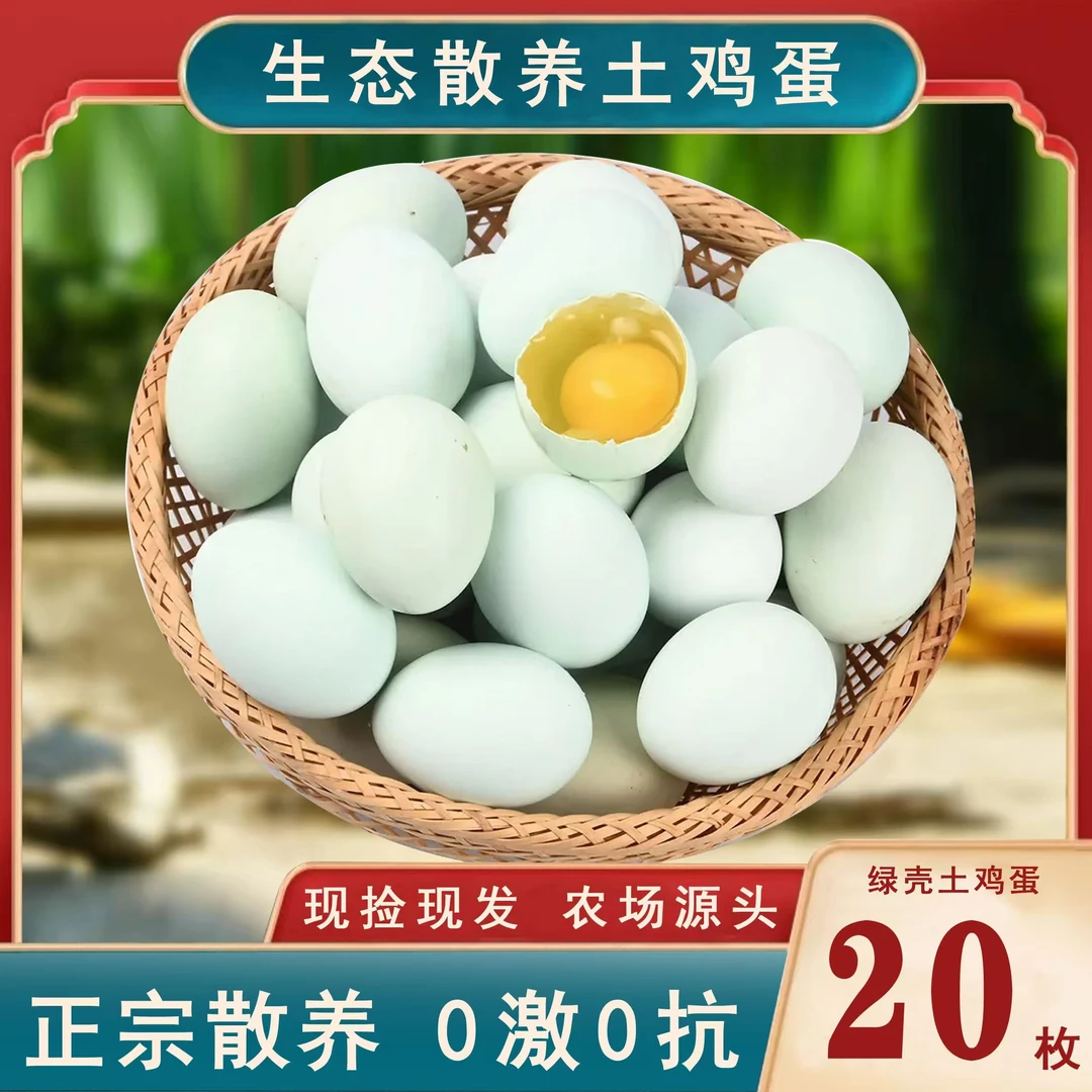 野坡地高山生态散养土鸡蛋新鲜营养绿壳乌鸡蛋20枚