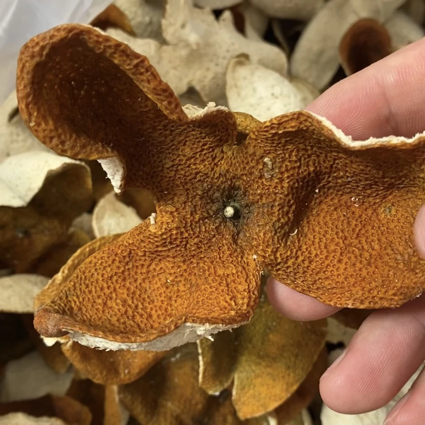 2023年新会天马陈皮新皮大红二红混合