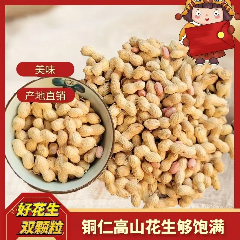 贵州铜仁高山老品种带壳小米粒花生自然晒干