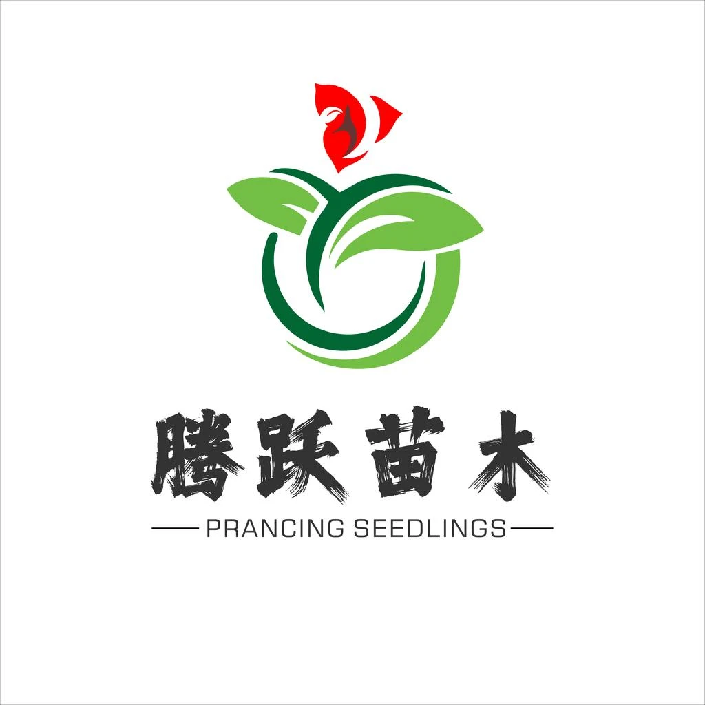 腾跃苗木 唐三彩 勤花指数4颗星