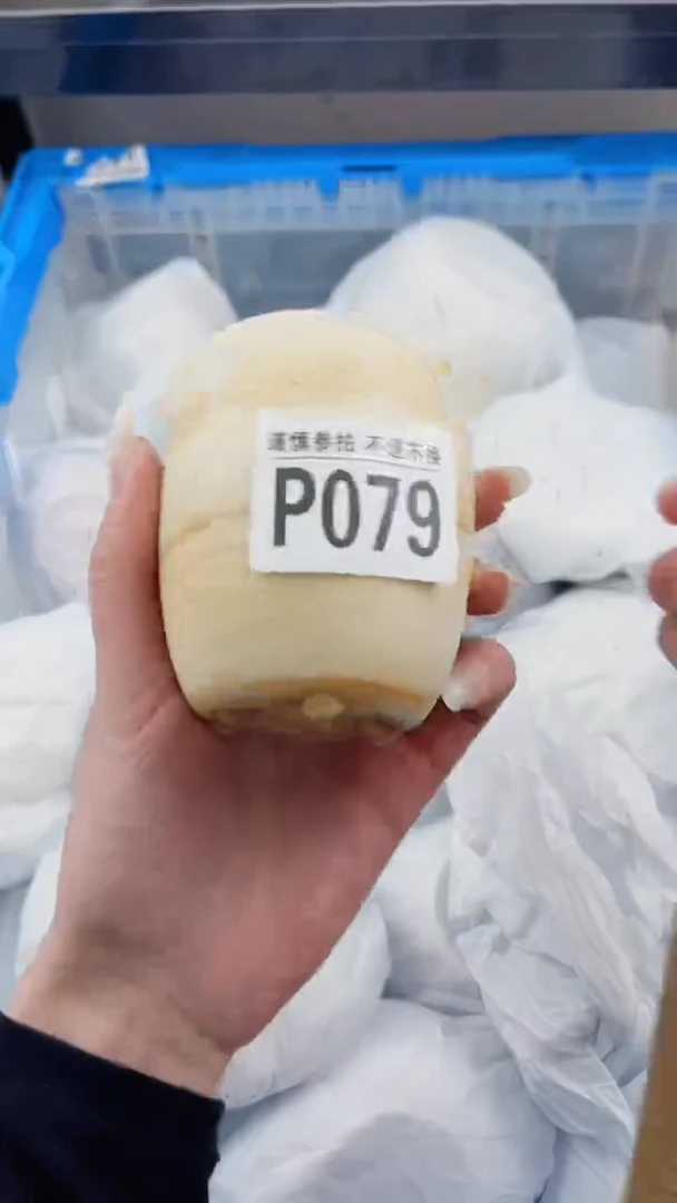 【闪购商品】密胺瓷片P079