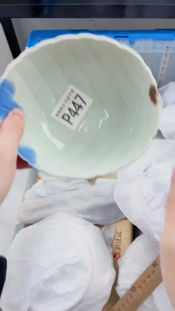 【闪购商品】密胺瓷片P447
