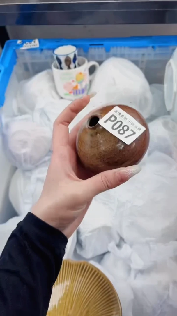 【闪购商品】密胺瓷片P087
