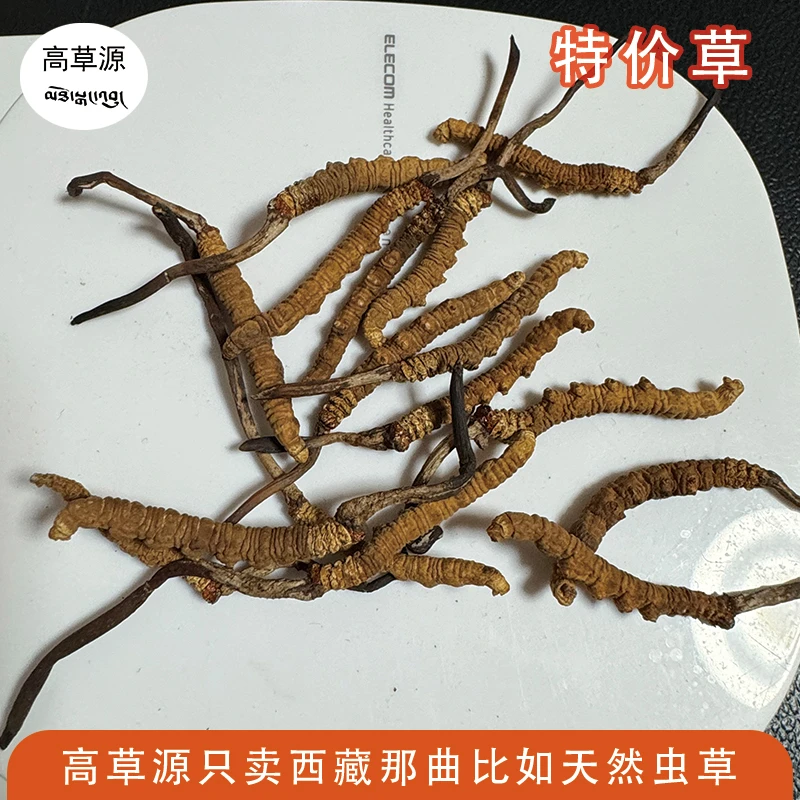 高草源2025西藏那曲比如虫草特价草，价格优惠，亲民价