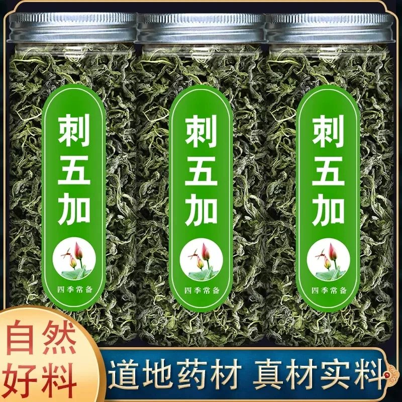 刺五加茶正品嫩叶长白山东北头茬新鲜嫩叶新叶茶干籽果刺五加茶叶