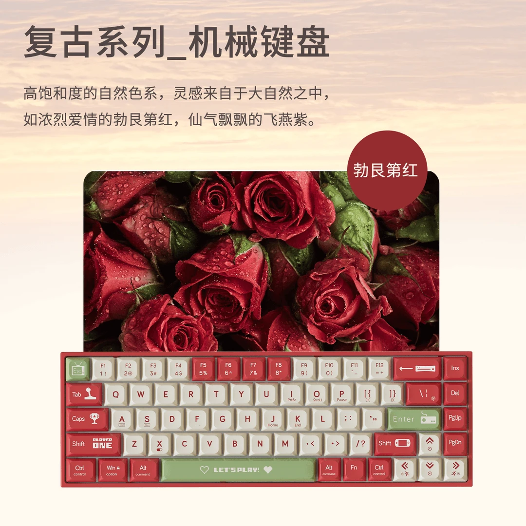 黑爵AK680机械键盘游戏有线热插拔小型键盘笔记本68办公游戏键盘