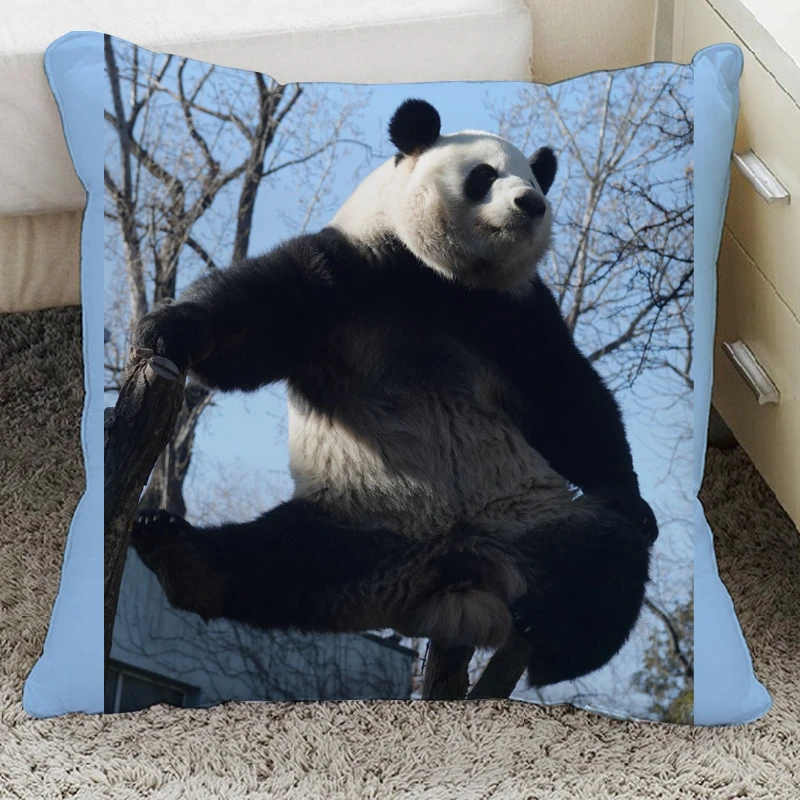 大熊猫萌兰周边抱枕西直门三太子手办阳光开朗大男孩玩偶公仔枕头