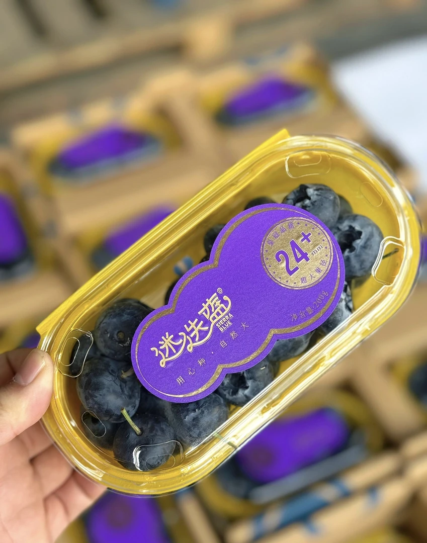 迷迭蓝蓝莓24+220克一盒
