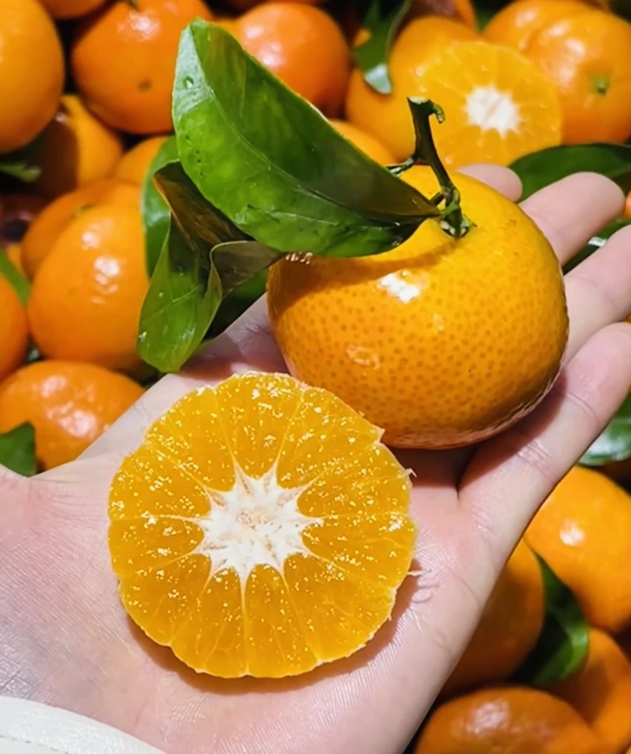 蜂糖蜜桔一斤