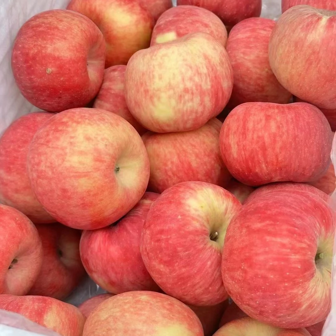 国产神仙苹果4粒约600g新疆维吾尔自治区