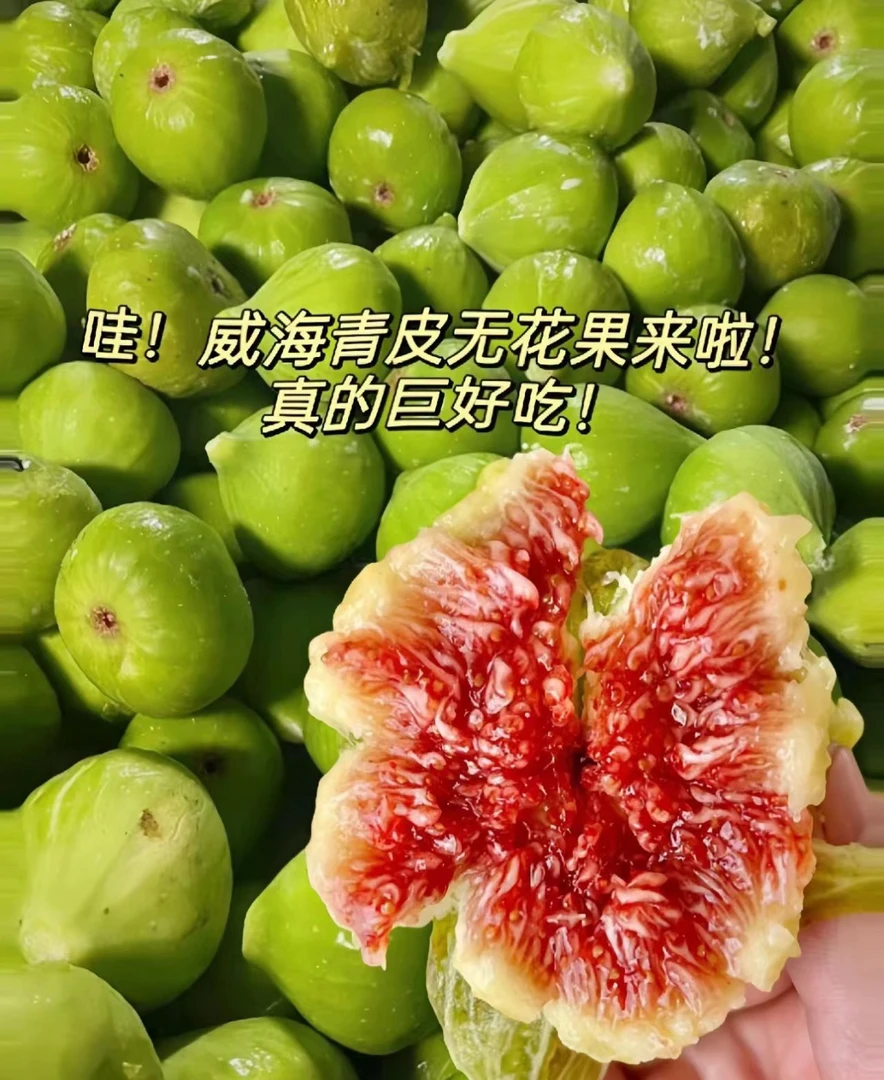 威海青皮无花果8个（打皮吃酸甜）