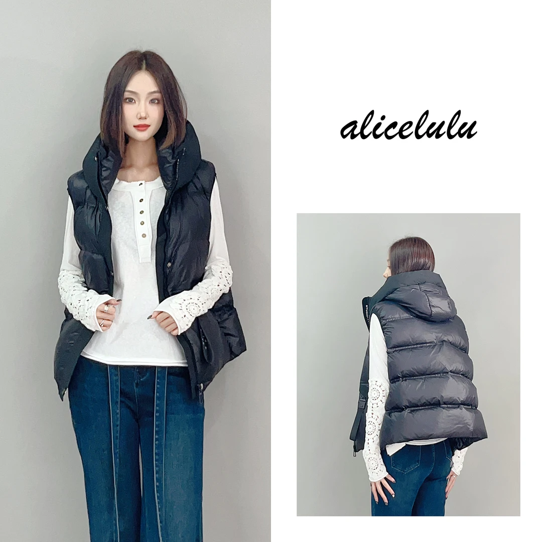 3 ALICE “黑神话”羽绒服 叠穿马甲 奢暖鹅绒 S2141356Vr