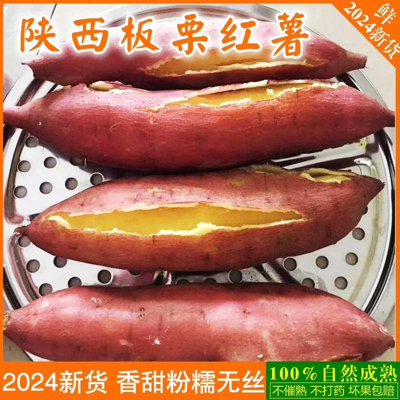 2024新货陕西板栗红薯现挖新鲜香糯干面秦薯5号