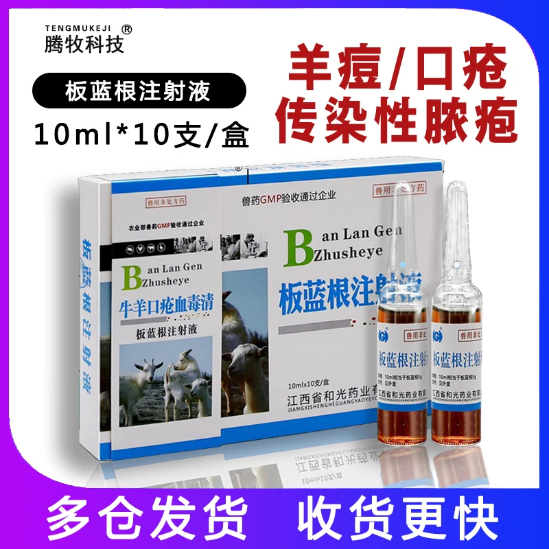 兽药板蓝根注射牛羊口疮血毒清羊口疮药口蹄溃烂牛羊痘10ml*10支