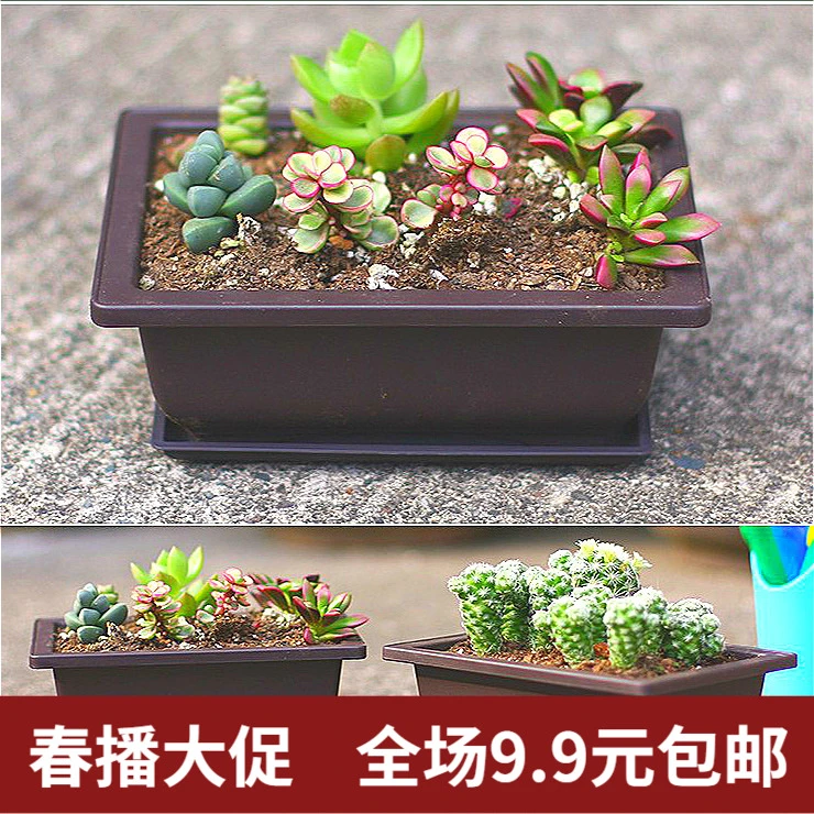 环保树脂仿紫砂多肉花盆桌面室内小花盆阳台花卉绿植古典方形花盆