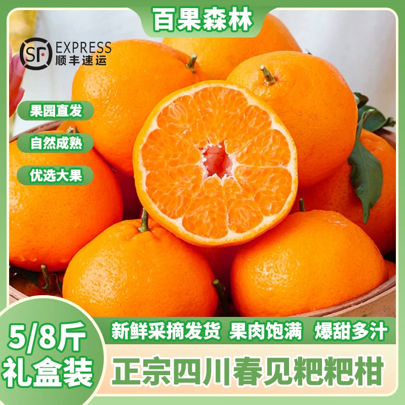 【顺丰送上门】四川春见耙耙柑新鲜应季水果爆甜多汁5/8斤现摘现发