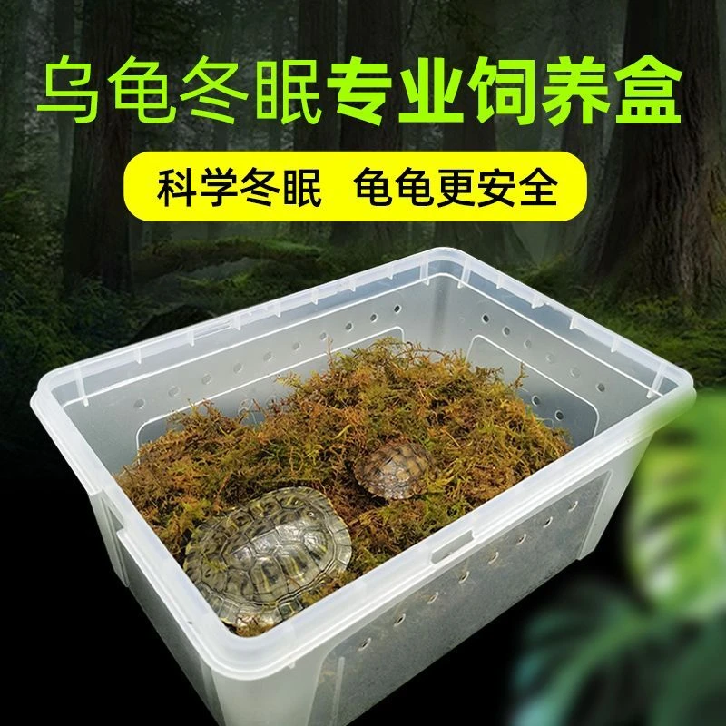 乌龟冬眠盒保温箱过冬用品椰土苔藓保暖材料冬眠箱