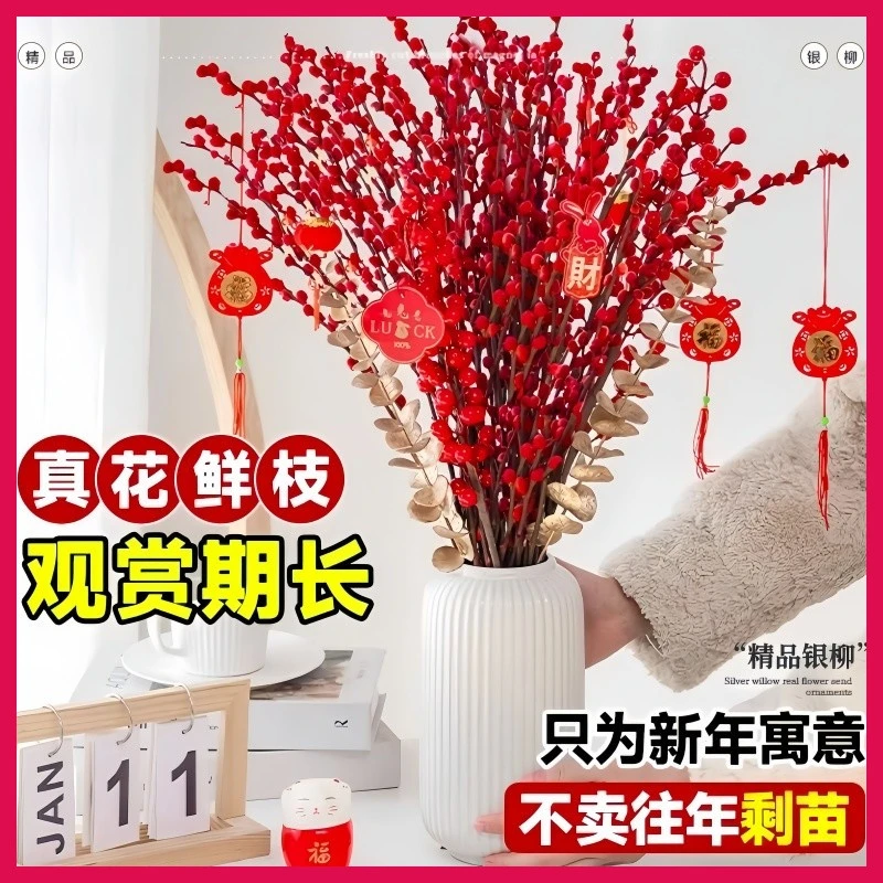 红色银柳真花鲜枝客厅年宵花卉招财福桶干花冬季水培植物室内好养