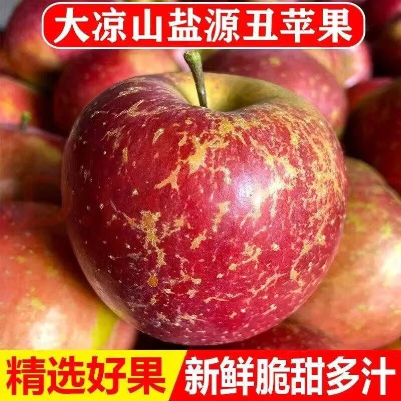 2024年四川大凉山盐源丑苹果当季现摘新鲜冰糖心苹果孕妇使用水果