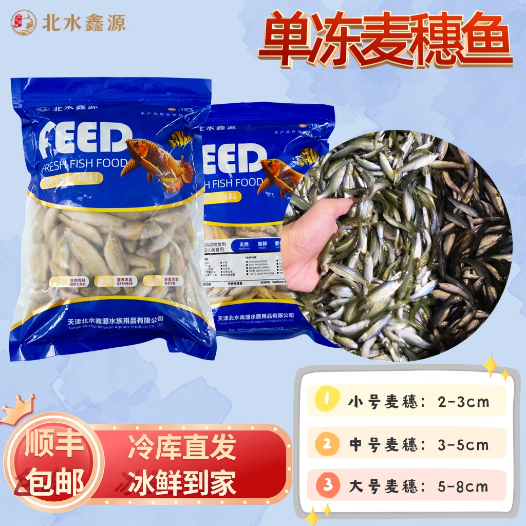 【抢购中】龙虎魟鱼粮单冻麦穗鱼营养喂食魟鱼宠物龟粮新鲜营养饲料