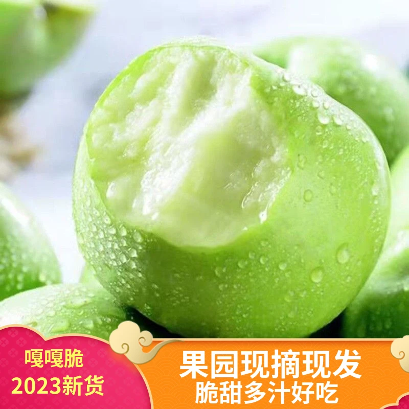 云南昭通新鲜采摘青苹果自家果园脆甜多汁孕妇新鲜水果5斤9斤包邮