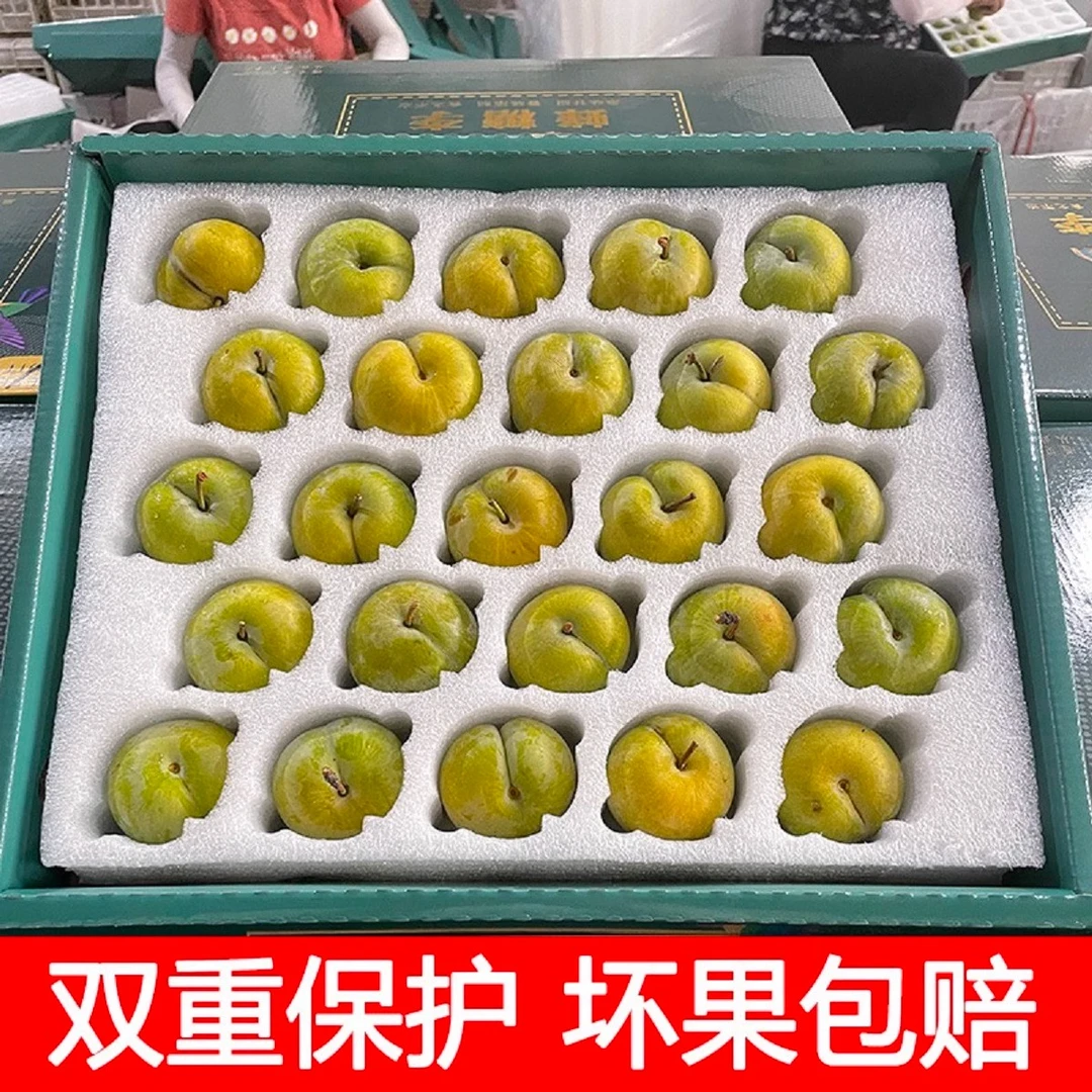 【彩箱/单果独立装/不易坏】正宗四川脱骨青脆李4.5斤当季新鲜汶川