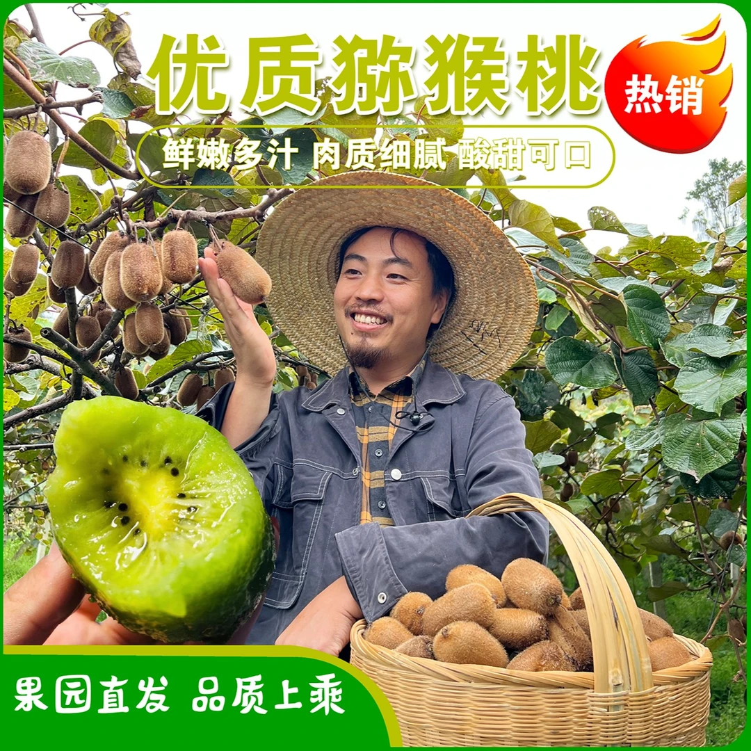 贵州修文猕猴桃果园现摘现发5斤10斤小果、中果、大果包邮,坏果包赔