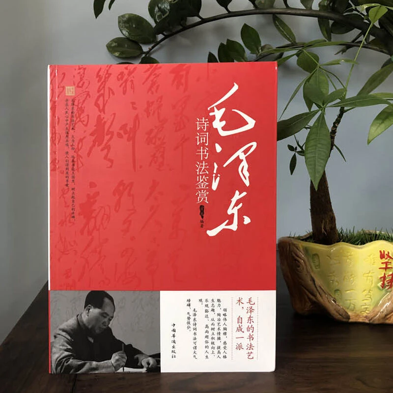 毛泽东诗词书法鉴赏伟人著作沁园春雪诗词文稿行书字帖毛笔书法