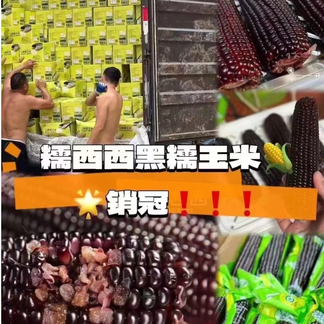 糯西西•黑糯玉米3斤