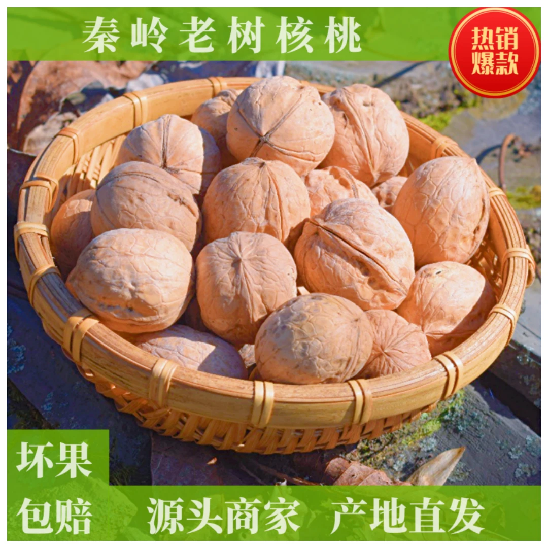 秦岭高山农家老树核桃薄皮山核桃原味坚果休闲零食陕西土特产
